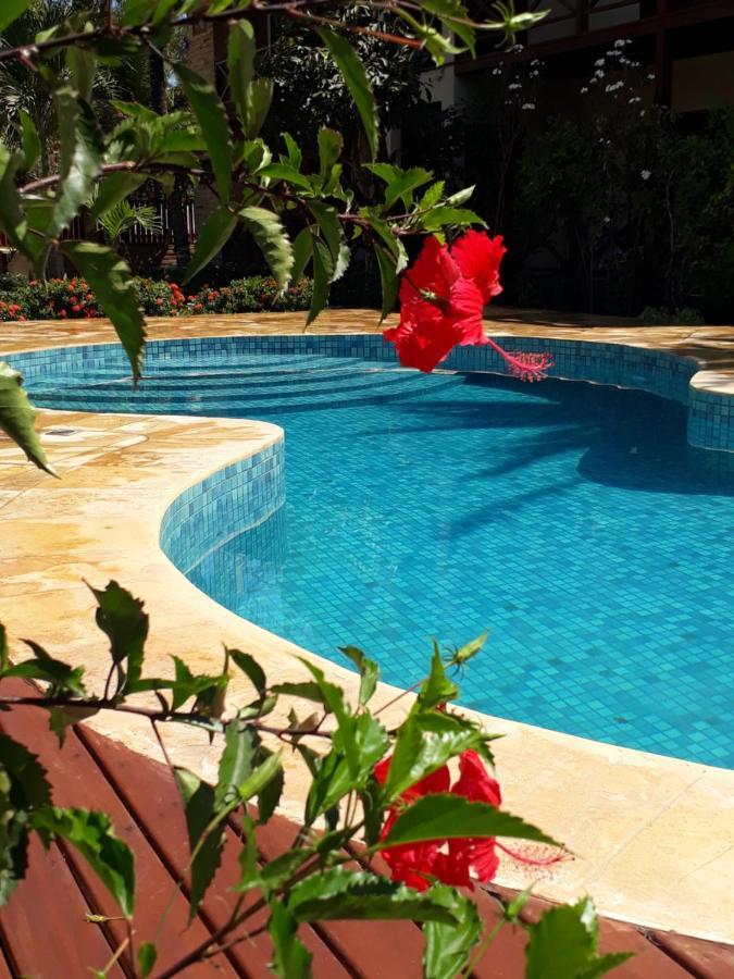جيجوكا دي جيريكواكوارا Serrote Apartamento المظهر الخارجي الصورة